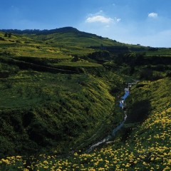 Greening The Islands, la sostenibilità made in Malta
