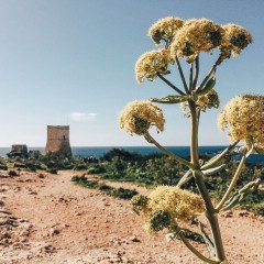 Trekking a Malta: il mio bellissimo itinerario con vista mare