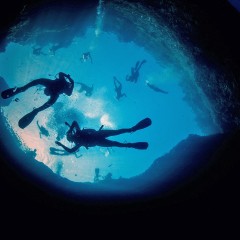 Diving a Malta: l’arcipelago e i suoi segreti sommersi 