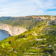 Malta e Gozo hanno il pollice verde 