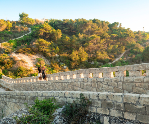 Avventure attive fuori rotta: Terra