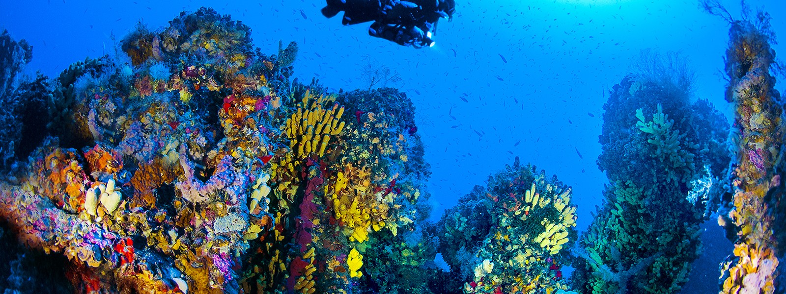 Alla scoperta dei fondali di Malta