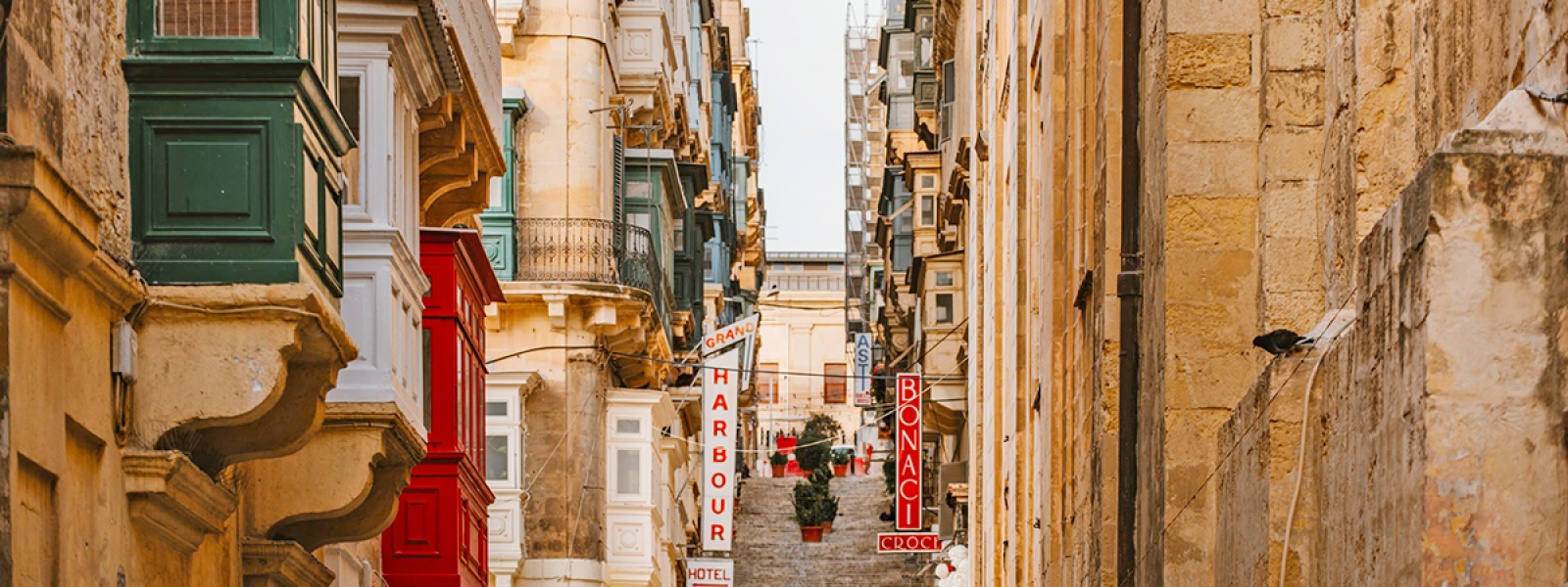 Inglese per ogni età, a Malta si studia meglio!