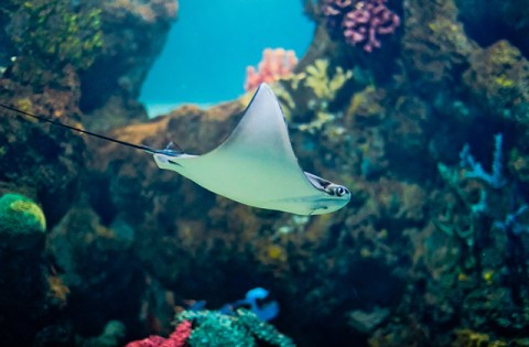 Malta con i bambini: dieci idee per la vacanza
