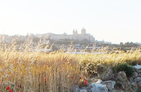 Viaggi organizzati a Malta: guida ai percorsi rurali