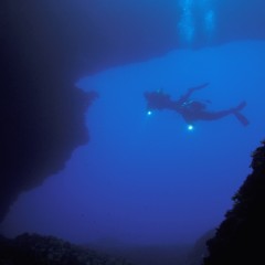 Malta capitale mondiale del diving