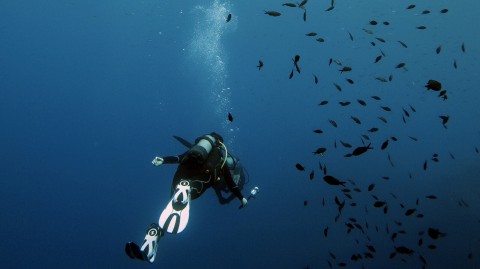 Diving a Malta, il racconto di viaggio di Irene Pila