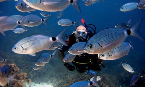 snorkeling-diving-in-malta