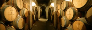 Natura, Malta, Merrill Eco Tours