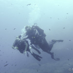 Diving per disabili, Rotellando