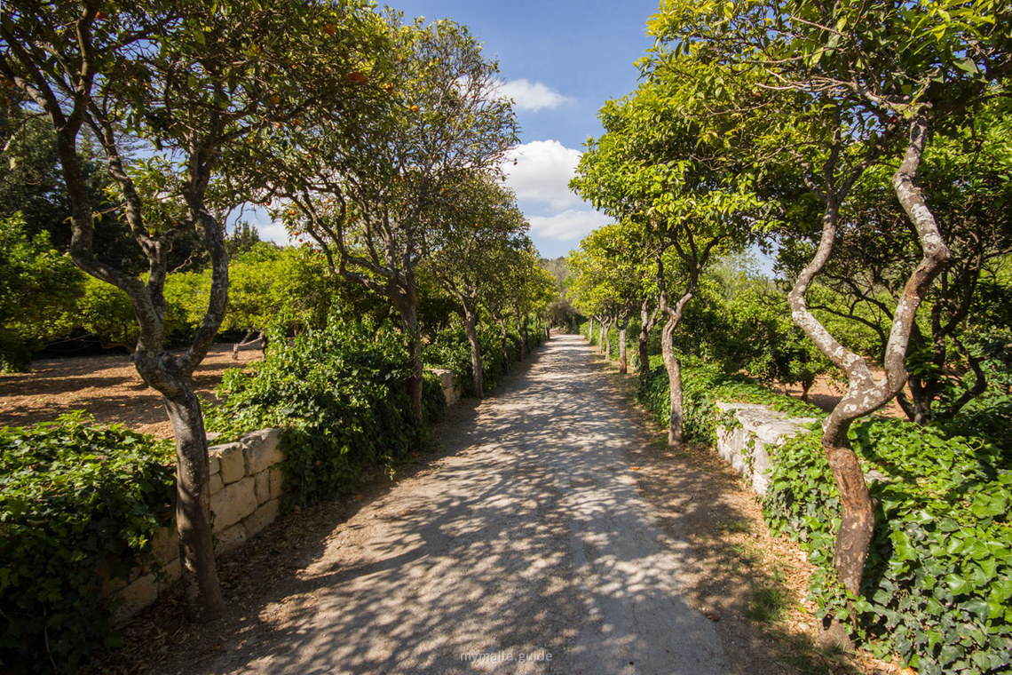 buskett-gardens_Malta