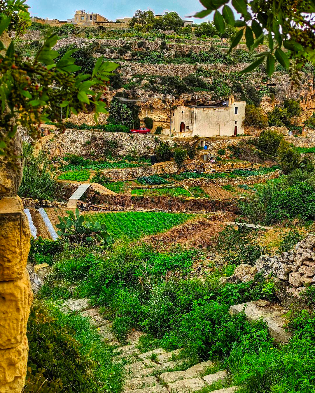 Lunzjata Valley - Malta