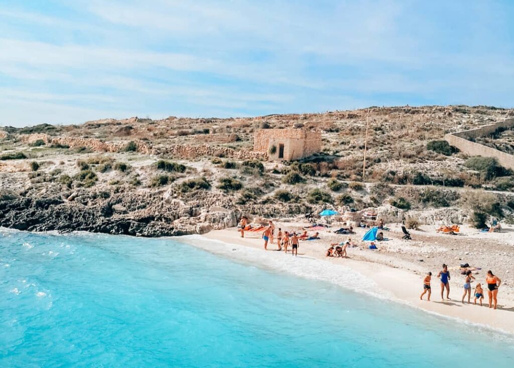 Tesori Dell'Caroline Bandiera Da Giardino Maltese Estate Spiaggia: 100% Poliestere, Doppia Faccia, 28x40 Pollici